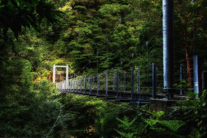yakushima
