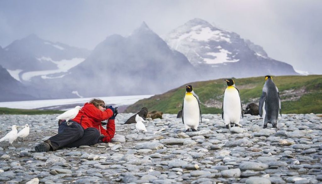 Falkland Islands