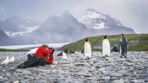 Falkland Islands