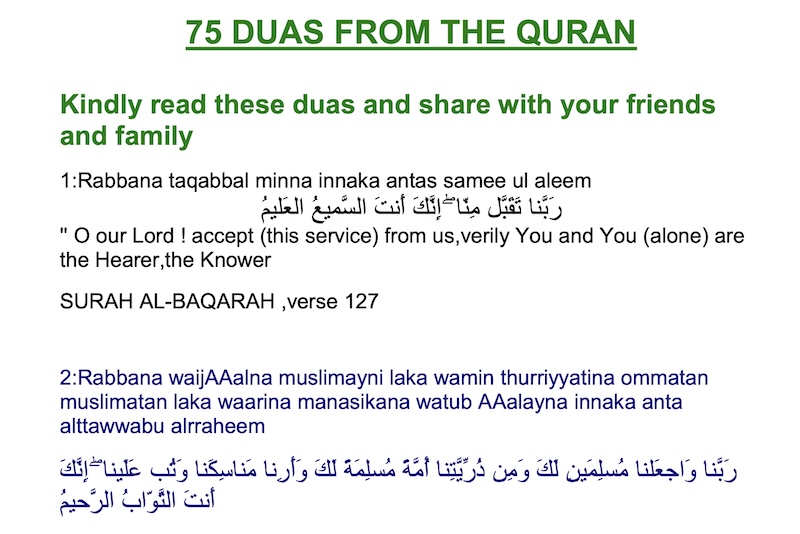 75 daus