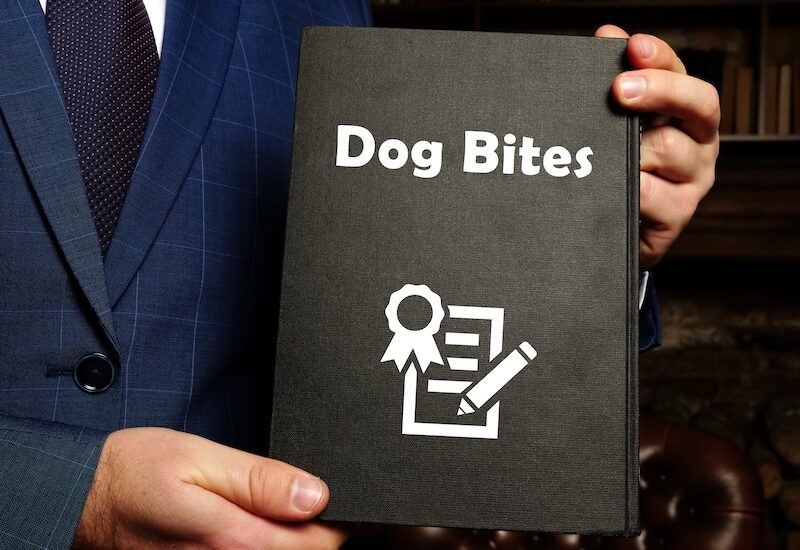 dog bite