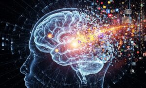 digital brain